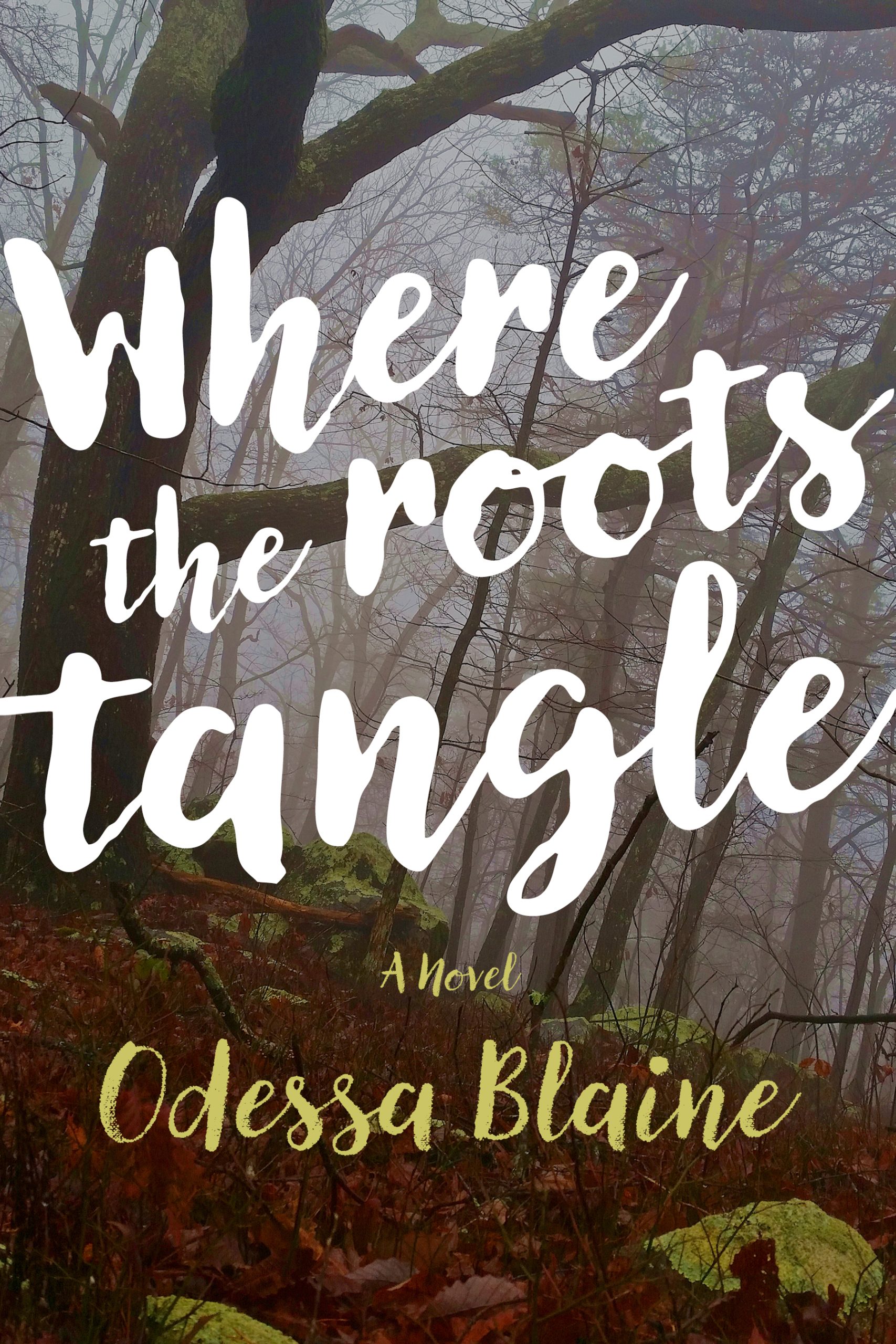 Where Roots the Tangle Book Cover Book cover for the Southern Gothic Fiction novel Where the Roots Tangle by Odessa Blaine published by Mercer University Press